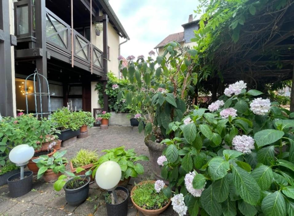 Apartment Gerberbachviertel Weinheim Eksteriør bilde